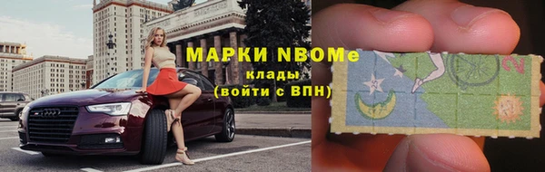 PSILOCYBIN Ельня