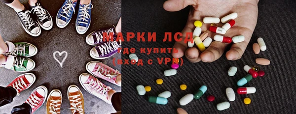 PSILOCYBIN Ельня