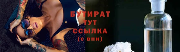 PSILOCYBIN Ельня