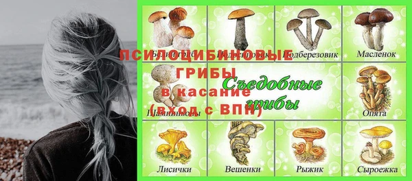 герыч Елизово