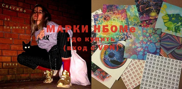 PSILOCYBIN Ельня