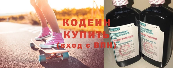PSILOCYBIN Ельня