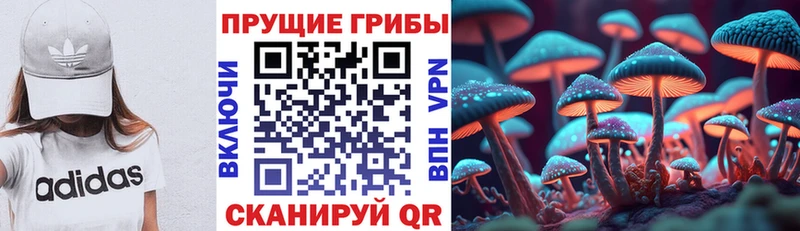 Псилоцибиновые грибы Magic Shrooms  это состав  Спасск-Дальний  где найти  