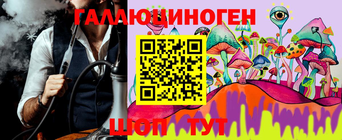 Галлюциногенные грибы Psilocybine cubensis Спасск-Дальний